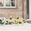 Set van 2 warmwitte LED rendieren