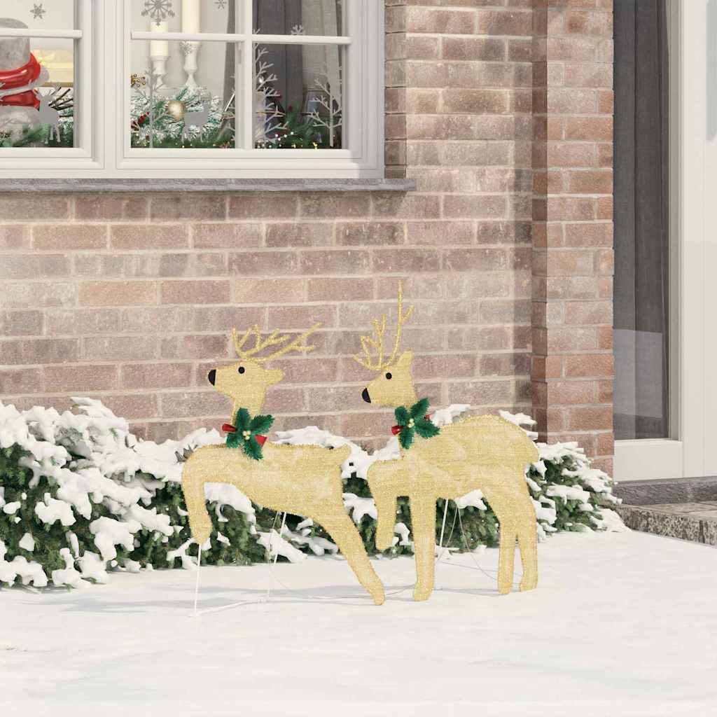 Set van 2 warmwitte LED rendieren