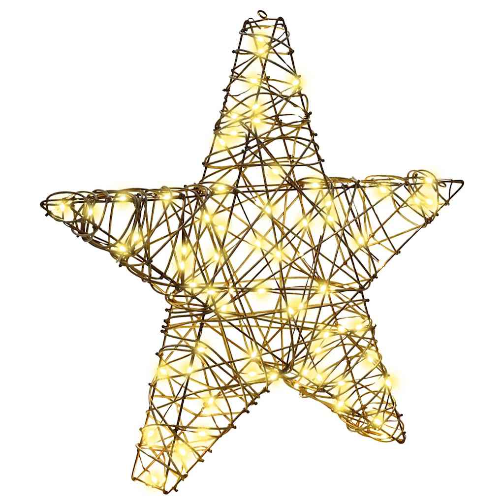 3D Rattan Kerstster met 50 LED’s – Warmwit