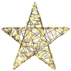 3D Rattan Kerstster met 50 LED’s – Warmwit