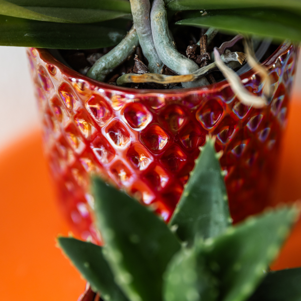 Diamant Perle Dekotopf – Rot – Ø9cm – Keramik Übertopf aus der Colourful Optimism Kollektion-3