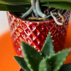 Diamant Perle Dekotopf – Rot – Ø9cm – Keramik Übertopf aus der Colourful Optimism Kollektion-3